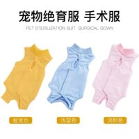 Phẫu thuật triệt sản cho mèo quần áo chống liếm quần áo cai sữa cho mèo cái quần áo cai sữa cho mèo