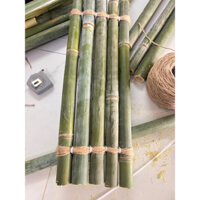 phên tre tiểu cảnh 1 mét