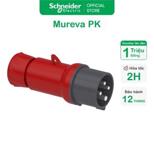 Phích cắm di động Schneider IP67 PKE16M734