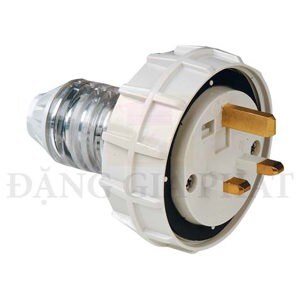 Phích cắm Schneider IP66 S56P420GY