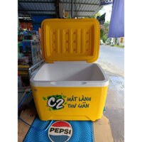 Phích đá, thùng đá vuông giữ nhiệt 25 lít Duy Tân Thùng bảo quản cao cấp 3 lớp giữ nhiệt 6 tiếng hàng khuyến mại C2