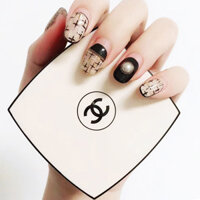 Phiên Bản Mới 2025Kem nền chống ẩm Cc Jelly Air Cushion Water Foundation SPF30 Hydrating Skin BD01 BR12 Form Pack 15G