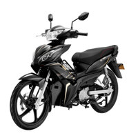 PHIẾU ĐẶT CỌC - Xe Máy Điện EVgo EX100 - Đen