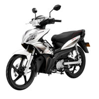 PHIẾU ĐẶT CỌC - Xe Máy Điện EVgo EX100 - Bạc