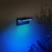 Philips Hue Nyro wall light
