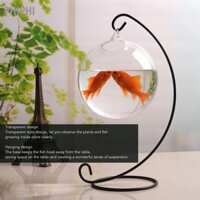 PHIPHI Treo Bể Cá Thủy Tinh Trong Suốt Để Bàn Bát Có Chân Đế Trang Trí Nhà Cửa Văn Phòng