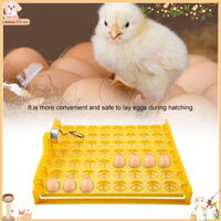 Phổ biến Máy ấp trứng mini 56 Dụng cụ khay đảo tự động có cơ