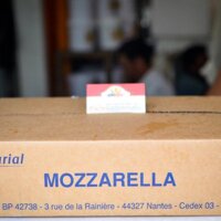 PHÔ MAI MOZZARELLA EURIAL - FRENCH MOZZARELLA CHEESE -  KHỐI 10 KG