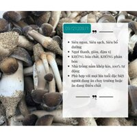 Phôi Nấm Mối Đen (1 kiện 7 bịch )