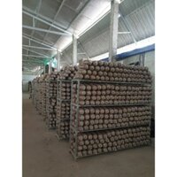 Phôi Nấm Mối Đen (1 kiện hàng 8 bịch)