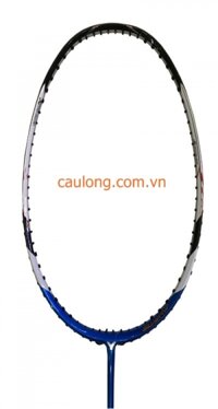 Phôi Vợt Cầu Lông Victor BS12
