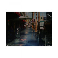 Phông 3D PP 3M x 6M V-1153