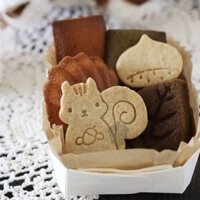 Phong Cách Nhật Bản Hoạt Hình Sóc Thông Nón Hạt dẻ Bơ Bánh Quy Khuôn Hoạt Hình Hộ Gia Đình Dụng Cụ Nướng Bánh