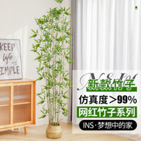 Phong Cảnh Mã Hóa Ngoài Trời Tường Trang Trí Chậu Cây Trang Trí Trong Nhà Bình Phong Vách Ngăn Tre Giả Cây Xanh