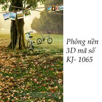 Phông nền 3D chụp trong studio mã số KJ 1065