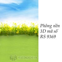 Phông nền 3D chụp trong studio mã số RS 9369