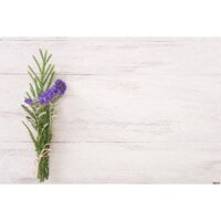 Phông nền chụp ảnh 3d