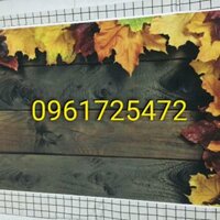 Phông nền chụp ảnh 3D