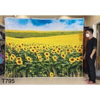 Phông nền chụp ảnh mã T795