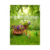 Phông PP 3D 3M x 5M E-3538