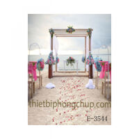 Phông PP 3D 3M x 5M E-3544