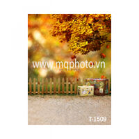 Phông PP 3D 3M x 5M T-1509