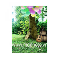 Phông PP 3D 3M x 5M T-581