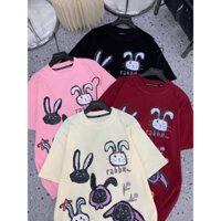 Phông thỏ rabbit, chuẩn hàng XW