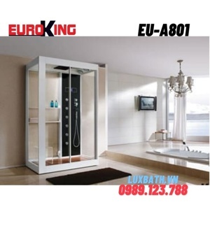 Phòng xông hơi Euroking EU-A801