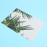 Photography Stuido Backdrop Leaf Card Picture - Tropical Plant Leaf