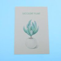 Photography Stuido Backdrop Leaf Card Picture - Succulent Plant