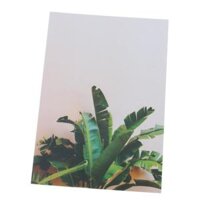 Photography Stuido Backdrop Leaf Card Picture - Plantain Leaf