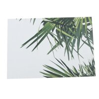 Photography Stuido Backdrop Leaf Card Picture - Tropical Plant Leaf