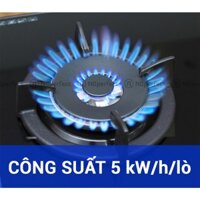 Phụ kiện bếp gas âm Electrolux EGT7627EG / EGT7627CK / EGT7637CK / EGT9637CK / FLEXI EGT8028CK.. các loại