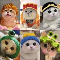 Phụ kiện đầu cho thú cưng, mũ đan cho mèo và chó, cosplay dễ thương, phụ kiện đầu vui nhộn, đạo cụ chụp ảnh biến hình