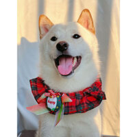 Phụ kiện Giáng sinh cho thú cưng LUUFIFI, vòng cổ ruột lớn, quần áo cho chó mèo, khăn quàng cổ, yếm ren