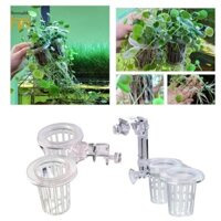Phụ kiện giữ chậu trồng cây thủy sinh Cốc trồng cây