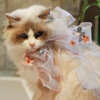 Phụ Kiện Thú Cưng Muppet Mèo Yếm Cổ Tích Nước Bọt Khăn Quần Áo Cho Chó