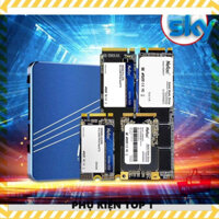 PHỤ KIỆN TOP ➊ SSD Netac mSATA 128GB N5M SATA3 6Gb/s Chính Hãng Dùng Cho Laptop PC - Mới Bảo Hành 36 Tháng - SHOP BÁN HÀ