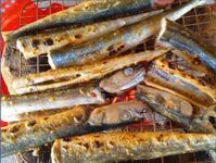 [PHÚ QUỐC 4N3Đ] Trải Nghiệm Vườn Trái Cây Tây Đô Cần Thơ | Khám Phá Nam Đảo Xe Ghế Ngồi Vip Cao Cấp