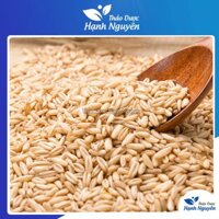 Phù tiểu mạch 1kg, hàng khô, sạch, thơm - Thảo Dược Hạnh Nguyên