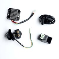 Phụ tùng điện xe máy Bộ đánh lửa điện áp cao Bộ chỉnh lưu Rơle Bộ đầy đủ Bộ điều chỉnh điện áp CG125-150 cho xe ba bánh nam bãi biển