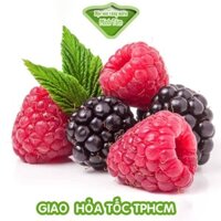 Phúc bồn tử ( Mâm Xôi Đen ) Hữu Cơ - Ngọt Thanh, Tươi Mát, Tốt Cho Sức Khỏe