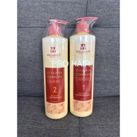 Phục Hồi WELLMATE Vitamin Complex Recovery 500ml hàng chính hãng công ty