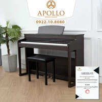 Piano Apollo DP-260 (BR)