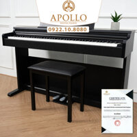 Piano Apollo DP-66 (BL)