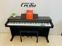 Piano casio Nhật giá rẻ chưa từng có _ Đàn mới 98%