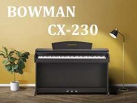 Piano Điện BOWMAN CX-230SR (NEW)