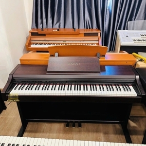 Đàn Piano Điện Casio AP-21