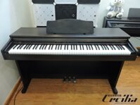 Piano điện Casio AP20 | PPiano điện giá rẻ